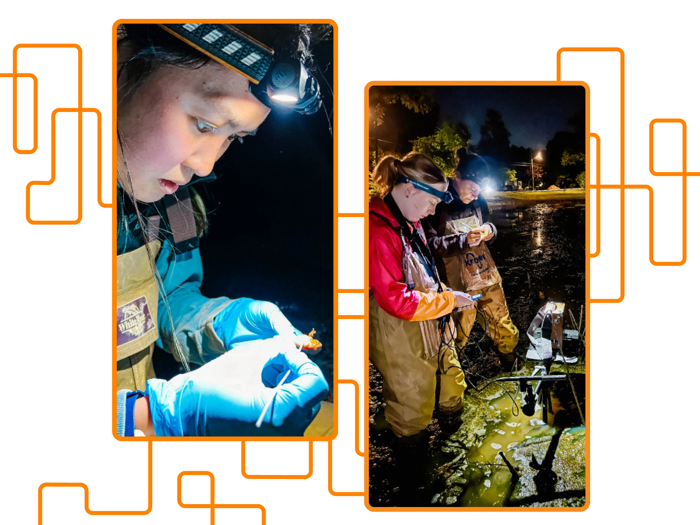 Photos of researchers investigating animal habitats