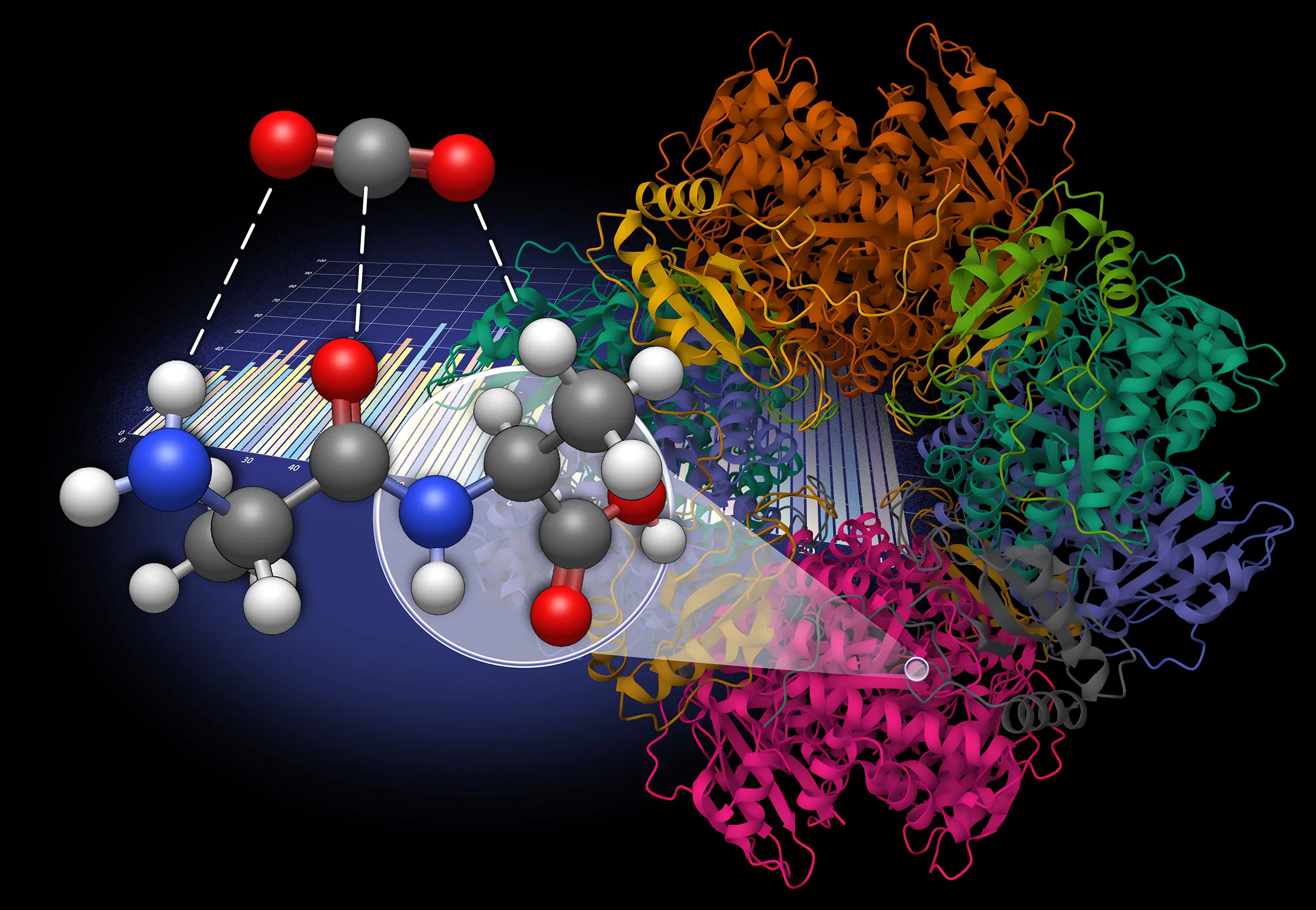 Scientific illustration - see caption for details