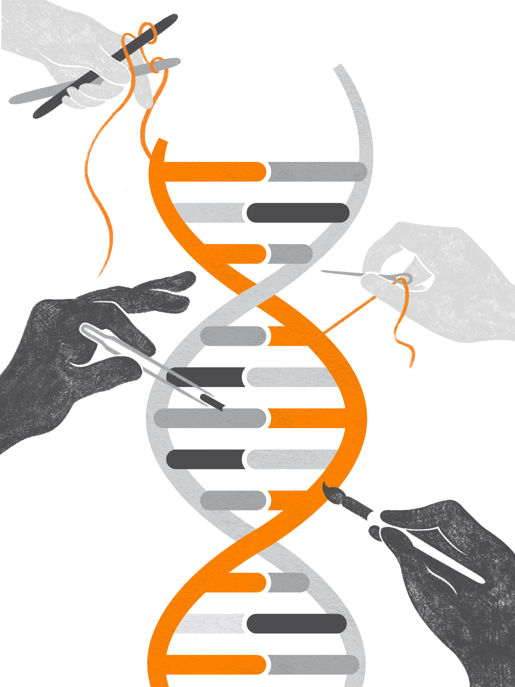 DNA strands graphic with hands painting, sewing, crocheting, and holding scientific instruments